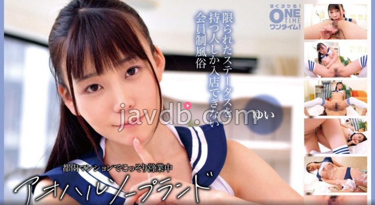 夫妻奴小说ブルーレイディスク